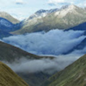 Meet your Posher, Koko